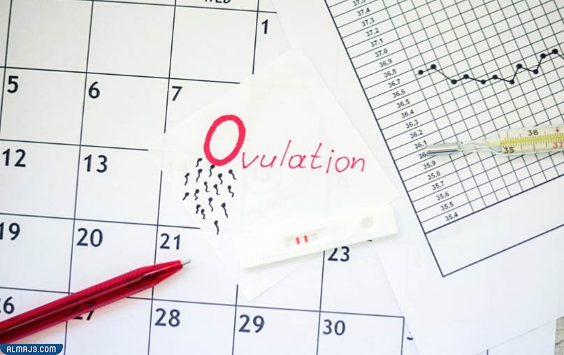 هل الإفرازات بعد التبويض تدل على الحمل؟ 