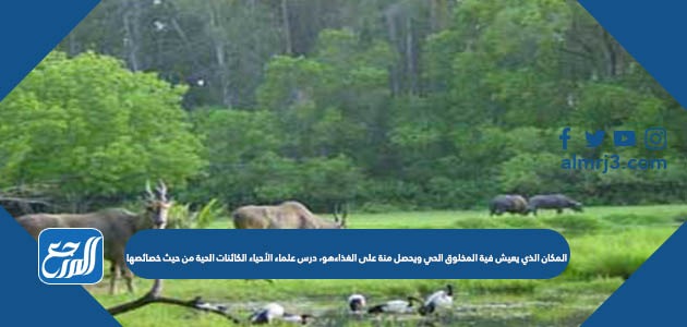 المكان الذي يعيش فية المخلوق الحي ويحصل منة على الغذاءهو، درس علماء الأحياء الكائنات الحية من حيث خصائصها