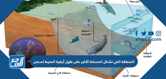 المنطقة التي تشكل المساحة الأكبر على طول أرضية المحيط تسمى