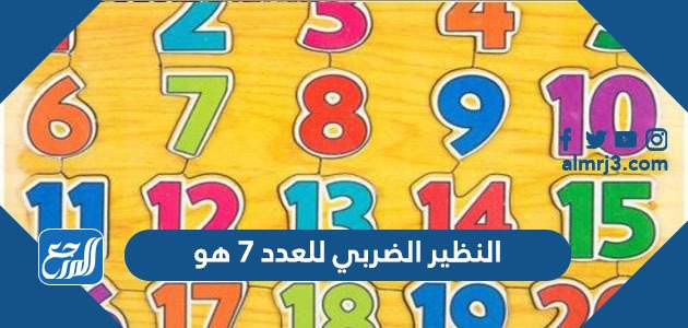 النظير الضربي للعدد 7 هو