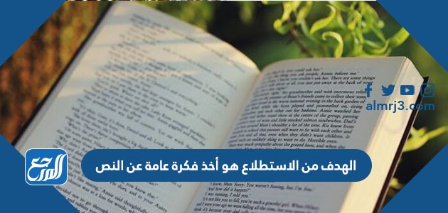 الهدف من الاستطلاع هو أخذ فكرة عامة عن النص