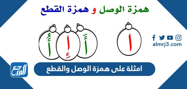 تظهر همزة القطع في كلمة