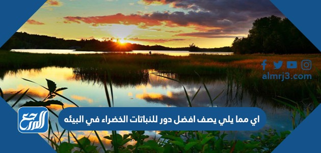 اي مما يلي يصف افضل دور للنباتات الخضراء في البيئه