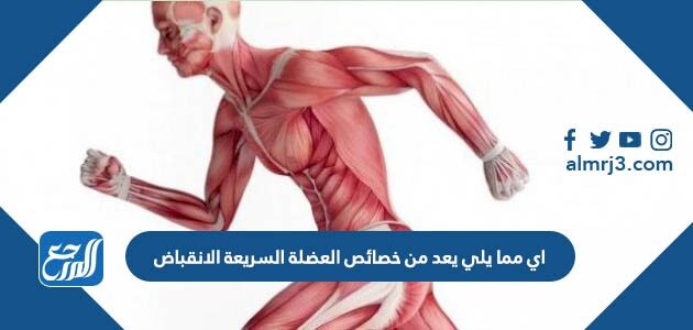 اي مما يلي يعد من خصائص العضلة السريعة الانقباض