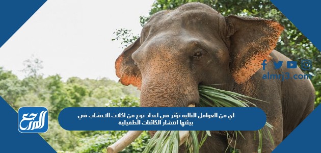 اي من العوامل التاليه تؤثر في اعداد نوع من اكلات الاعشاب في بيئتها انتشار الكائنات الطفيلية