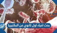 بحث احياء اول ثانوي عن البكتيريا