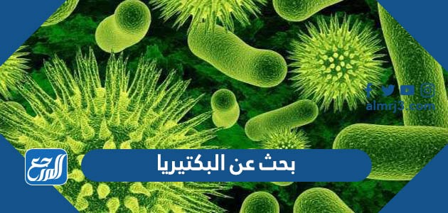 بحث عن البكتيريا كامل