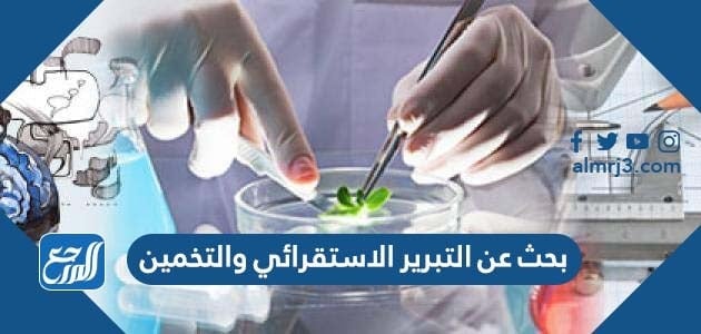 بحث عن التبرير الاستقرائي والتخمين