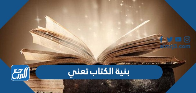 بنية الكتاب تعني