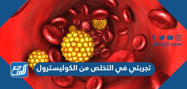 تجربتي في التخلص من الكوليسترول