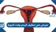 تجربتي في تنظيف الرحم وقت الدورة