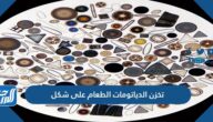 تخزن الدياتومات الطعام على شكل