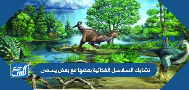 تشابك السلاسل الغذائية بعضها مع بعض يسمى