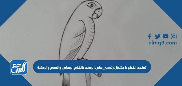 تعتمد الخطوط بشكل رئيسي على الرسم بالقلم الرصاص والفحم والريشة