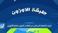 تعرف الطبقة السفلى من الغلاف الجوي بطبقة الأوزون