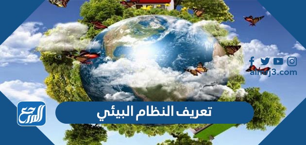 تعريف النظام البيئي