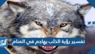 تفسير رؤية الذئب يهاجم في المنام لابن سيرين والنابلسي وابن شاهين