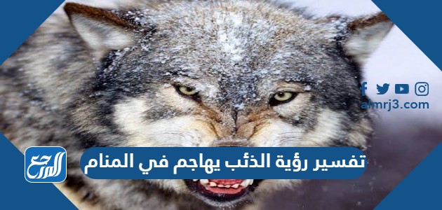 تفسير رؤية الذئب يهاجم في المنام