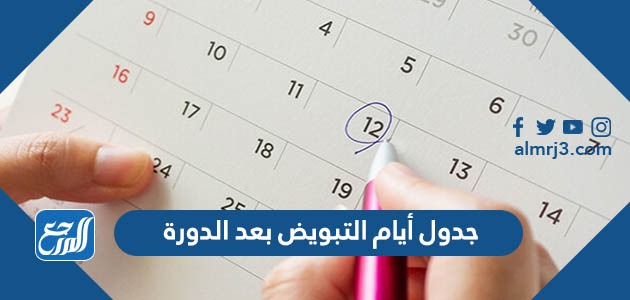 جدول أيام التبويض بعد الدورة