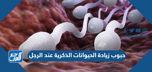 حبوب زيادة الحيوانات الذكرية عند الرجل