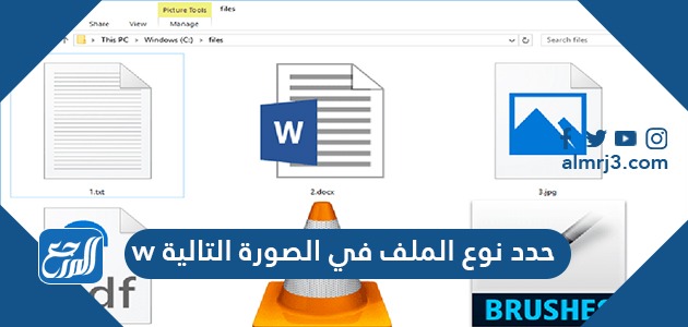 حدد نوع الملف في الصورة التالية W