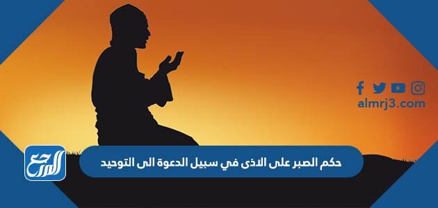 حكم الصبر على الاذى في سبيل الدعوة الى التوحيد