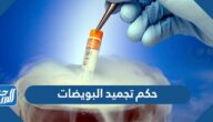 حكم تجميد البويضات