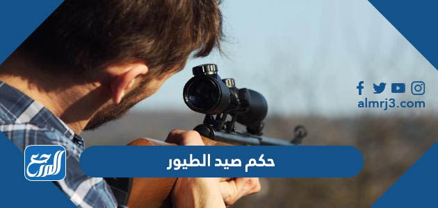 حكم صيد الطيور