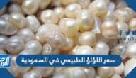 سعر اللؤلؤ الطبيعي في السعودية 2025
