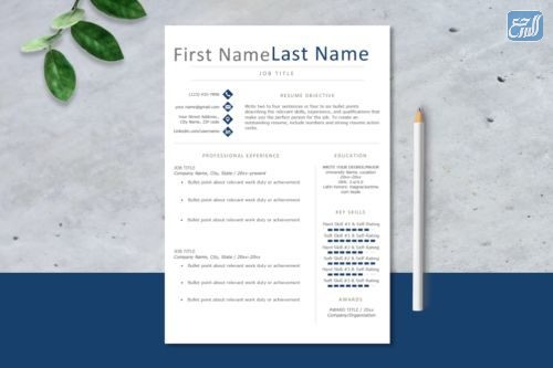 سيرة ذاتية باللغة العربية والانجليزية فارغة