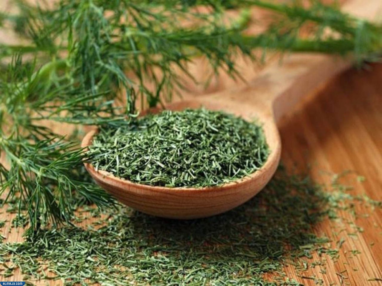 شبت Dill