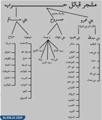 عدد قبيلة حرب