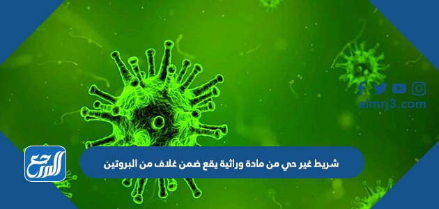 شريط غير حي من مادة وراثية يقع ضمن غلاف من البروتين