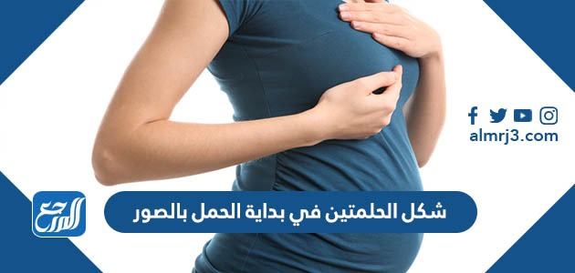 شكل الحلمتين في بداية الحمل بالصور