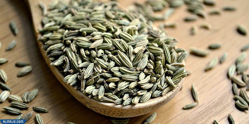 شمر Fennel