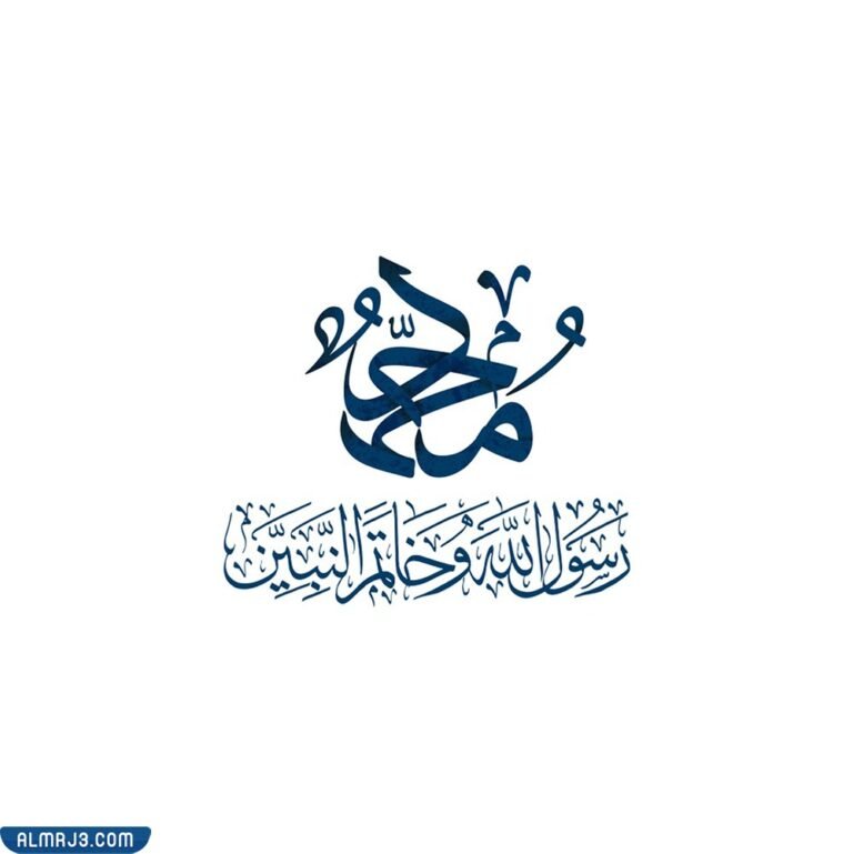 صور معبرة عن مولد الرسول