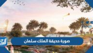 صورة حديقة الملك سلمان 2025