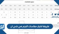 طريقة اختيار مقاسات الجزم في شي ان