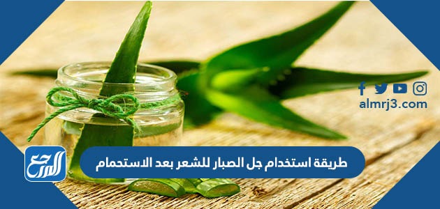 طريقة استخدام جل الصبار للشعر بعد الاستحمام