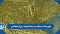 طريقة استخدام عشبة المدينة جابر القحطاني