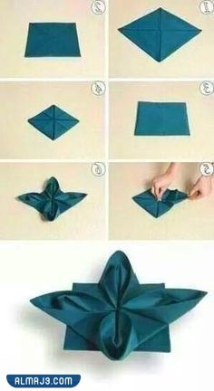 الوردة المتفتحة