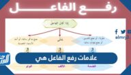 علامات رفع الفاعل هي