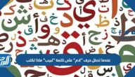 عندما تدخل حرف “لام” على كلمة “لبيب” ماذا تكتب