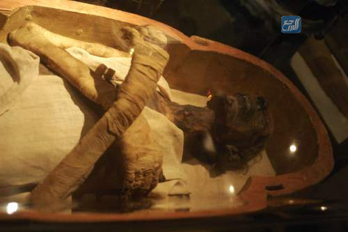صور مومياء فرعون موسى