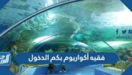 فقيه أكواريوم بكم الدخول وما هي أوقات عرض الدلافين