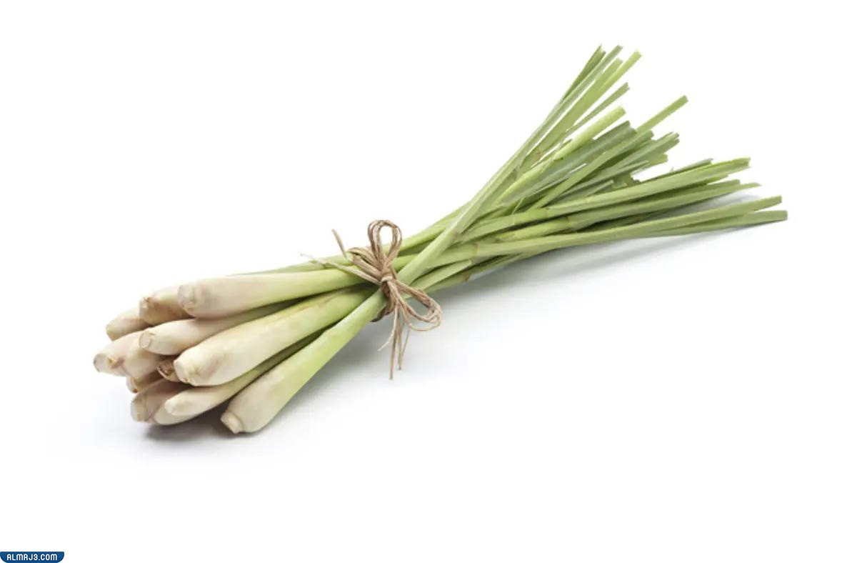 فوائد الاذخر للرحم