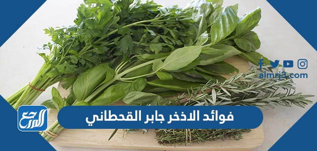 فوائد الاذخر جابر القحطاني