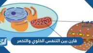 الأنشطة الهوائية تستخدم الطاقة المتوفرة في الجسم دون الحاجة إلى وجود الأوكسجين، بينما الأنشطة اللاهوائية تتطلبه لإنتاج الطاقة الميكانيكية