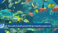 قمت بتشريح سمكة فوجدت بها مثانة عوم فمن الممكن أن تكون سمكة