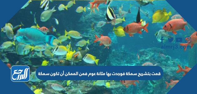 قمت بتشريح سمكة فوجدت بها مثانة عوم فمن الممكن أن تكون سمكة